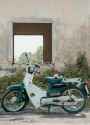 honda white and blue