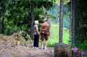 couple by trees