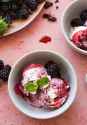 blackberry ice cream