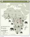2013_Elephant_population_(30249979363)