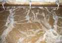 wastewater