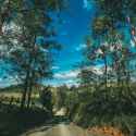 summer_road_trees_122786_2780x2780