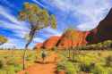 rural aus