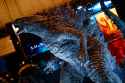 5.07 MB