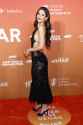 1.29 MB