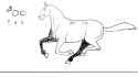 09-Horse2.4-Gallop