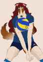 Borzoi argie volleyball player almost done