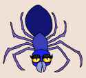 blue spider