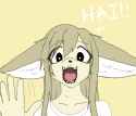 happy fennec