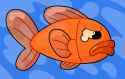 OPs beautiful goldfish