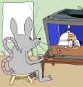 MouseHouse
