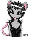 rat