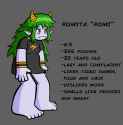 romi factss