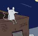 night