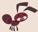 ant