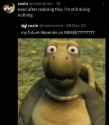 95 KB