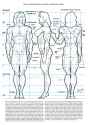 female_muscle_ideal_proportion_by_bambs79-d202gjd
