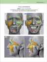 uldis zarins - anatomy of facial expression 2