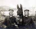 Two German soldiers and their mule wearing gas masks, 1916