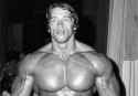 Arnold