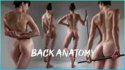 backs+anatomybanner1_002