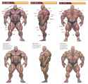 bara_anatomy