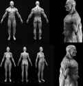 bara_anatomy2