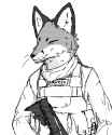 fox_soldier_np