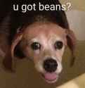 u got beans