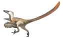 Velociraptor_Restoration