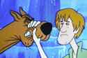 stfu scoob