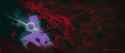 e6e0714e-4da1-4657-b28d-6d99c7dab225_rw_1200