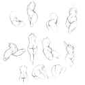 sketch43