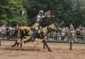 Jousting Knights (116)