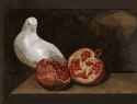 dove