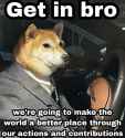 get in bro