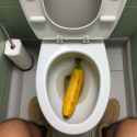 real photo of Banan in toilet