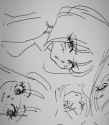 Screenshot_20250515-022435~2
