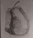IMG_20250515_150246476 (1)