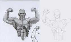 muscled bodies