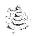 Rocks