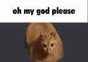 1733158424030733