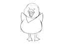 Bouncy Ducky Chick