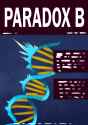 Paradox B 2