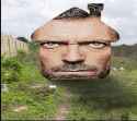 dr-house