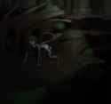 Jonya stalking
