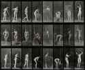 A_woman_raking_and_carrying_hay._Photogravure_after_Eadweard_Wellcome_V0048727