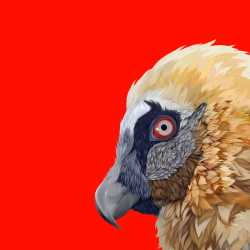 berd2