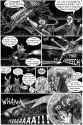 IMAG002 (8)