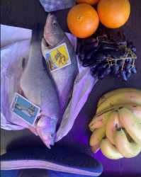 still life